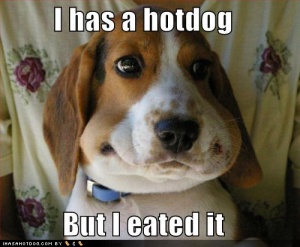 I had a hotdog but eated it